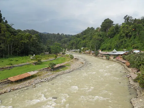 Bukit Lawang Riverside