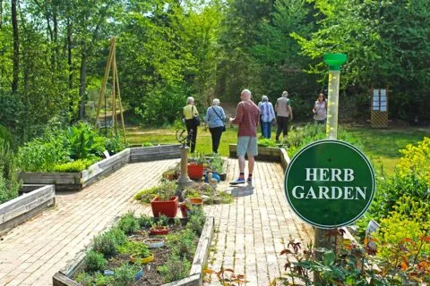 Bullington Gardens