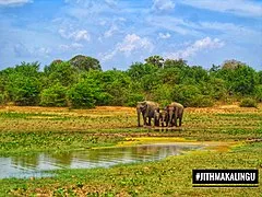 Bundala National Park
