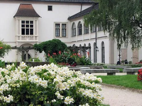 Burg Wels (Wels Castle)