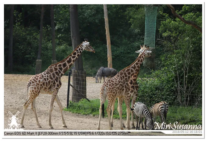 Burgers' Zoo