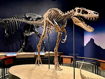 Burpee Museum of Natural History