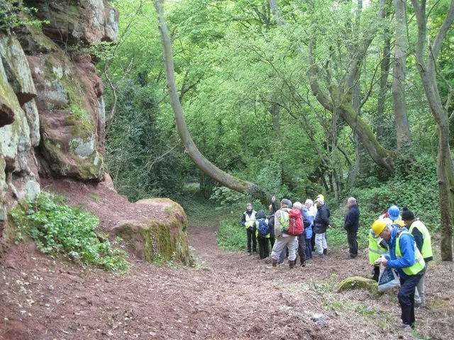 Burrowing Hill