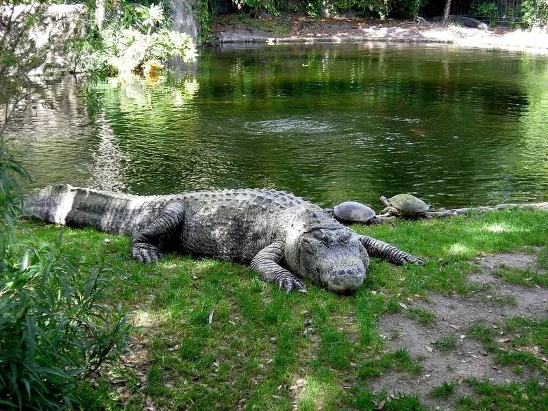 Busch Wildlife Sanctuary