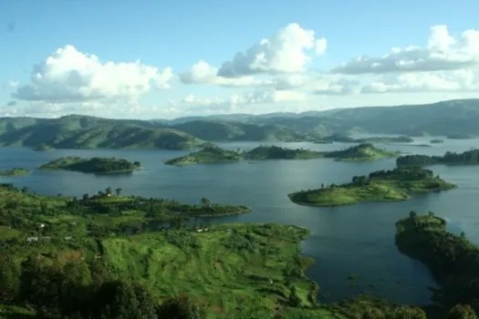 Bushara Island