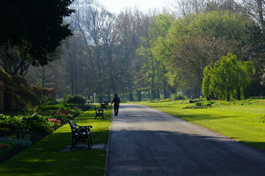 Bute Park