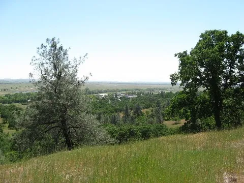 Butte Creek Ecological Preserve