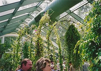 Butterfly House