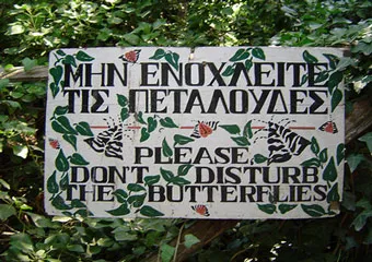 Butterfly Valley