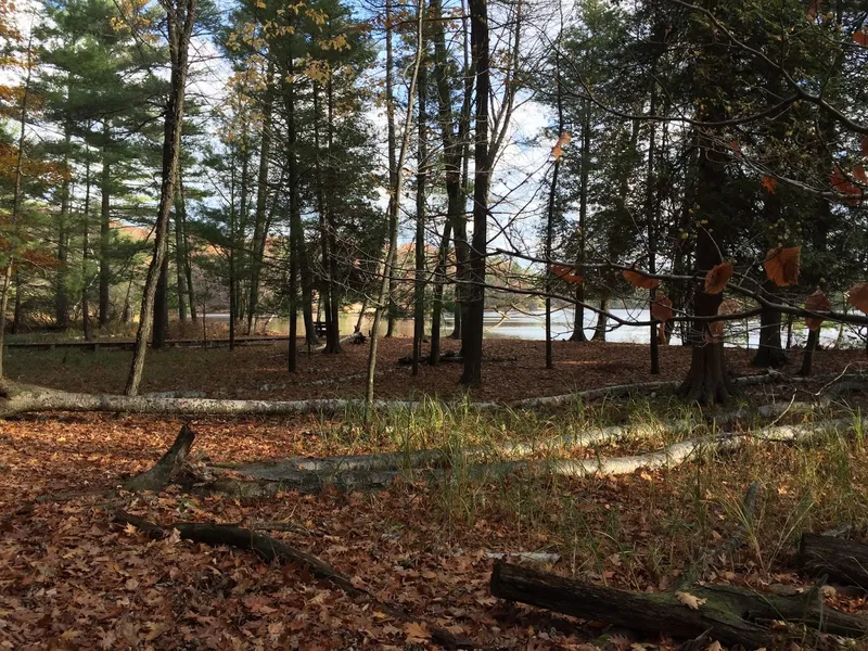 Buttersville Park