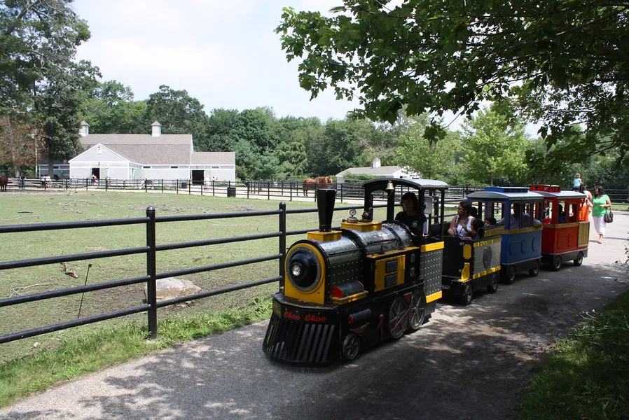 Buttonwood Park Zoo