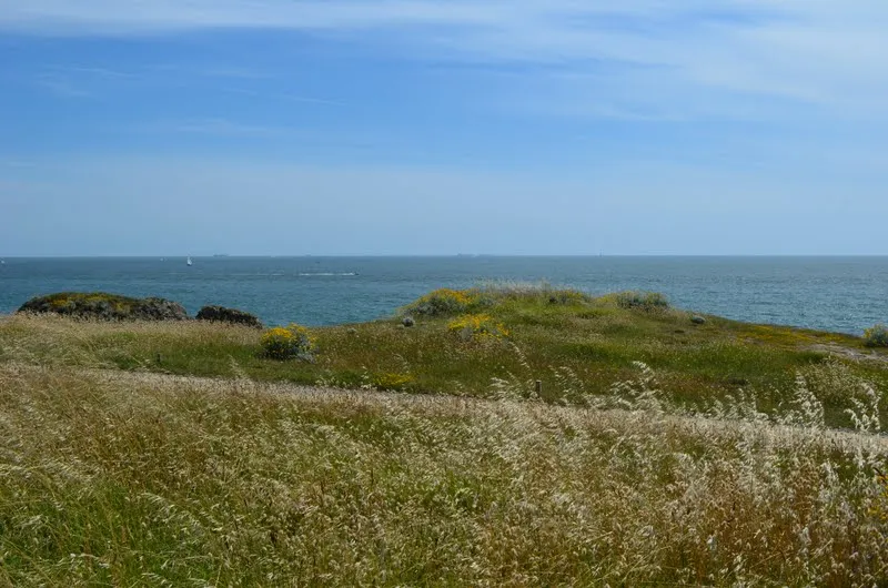 Côte Sauvage