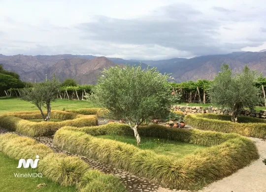 Cafayate Wine Route