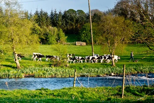 Cahir River Walk