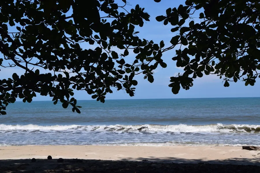 Cahuita National Park