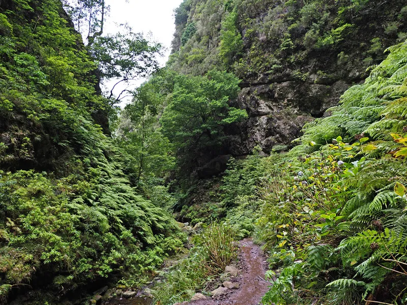 Caldeirão Verde Levada Walk