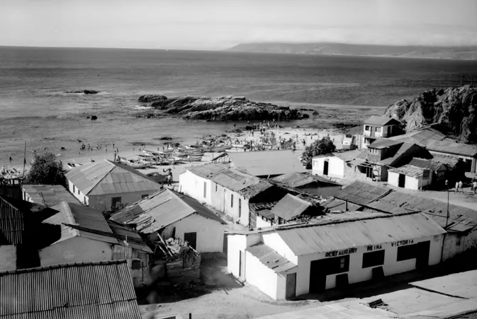 Caleta Horcón