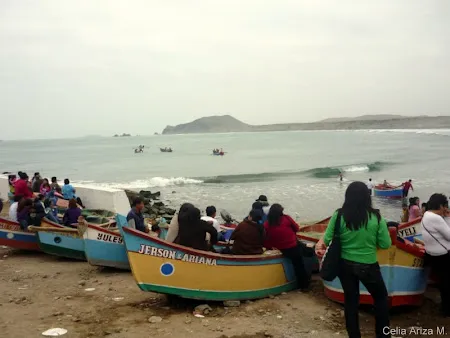 Caleta de Pescadores Guanaqueros