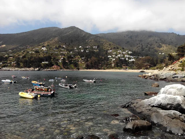 Caleta de Zapallar