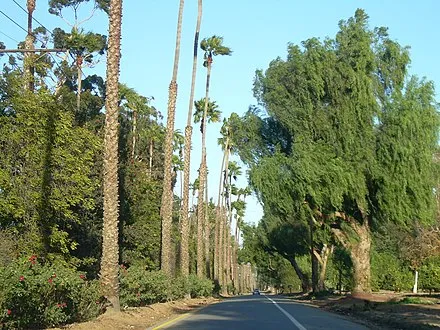 California Citrus State Historic Park
