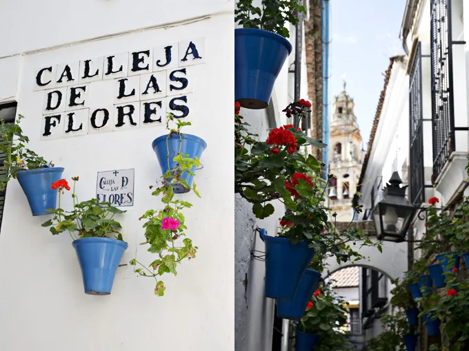 Calleja de las Flores