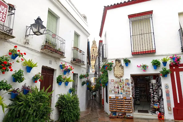 Calleja de las Flores