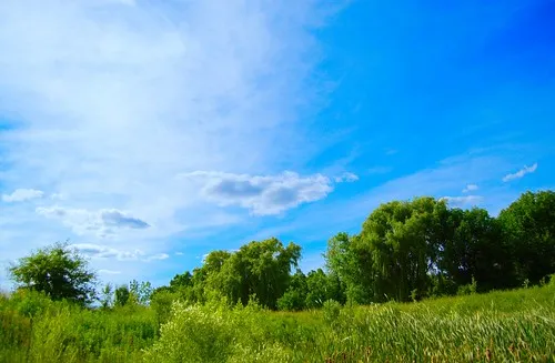 Calvin College Ecosystem Preserve