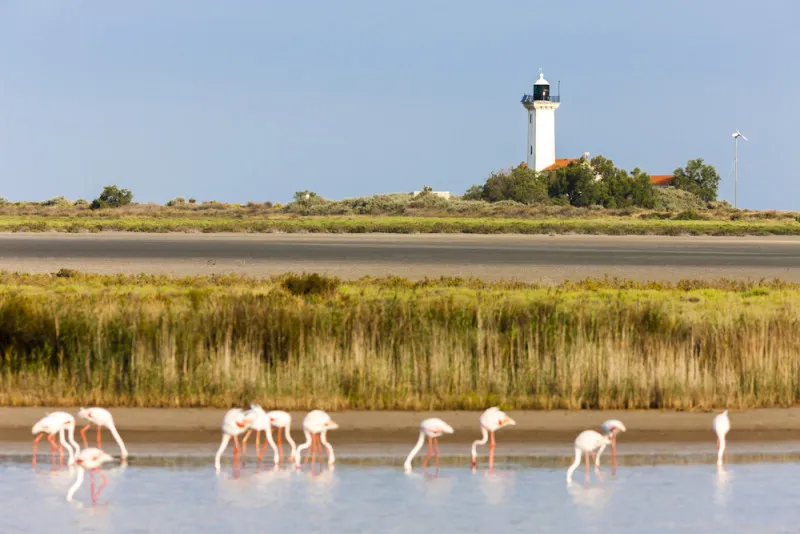 Camargue Giraud Ranch
