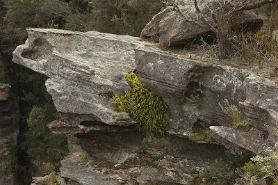 Cambewarra Mountain Lookout
