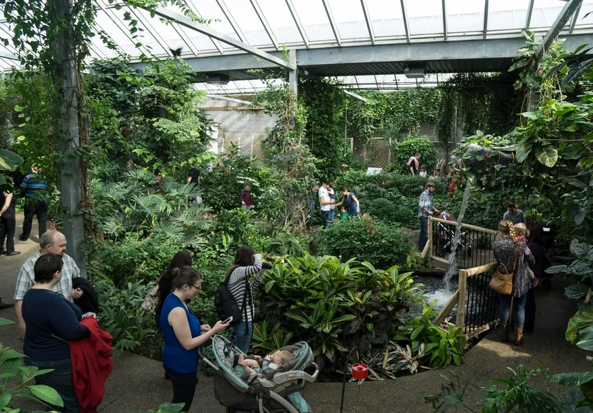 Cambridge Butterfly Conservatory