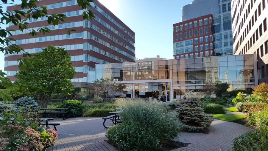 Cambridge Center Roof Garden