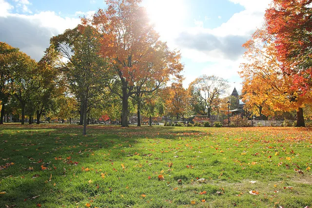 Cambridge Common