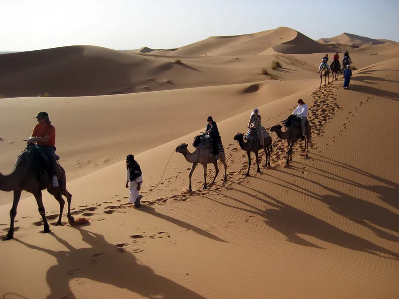 Camel Ride in the Sahara Desert