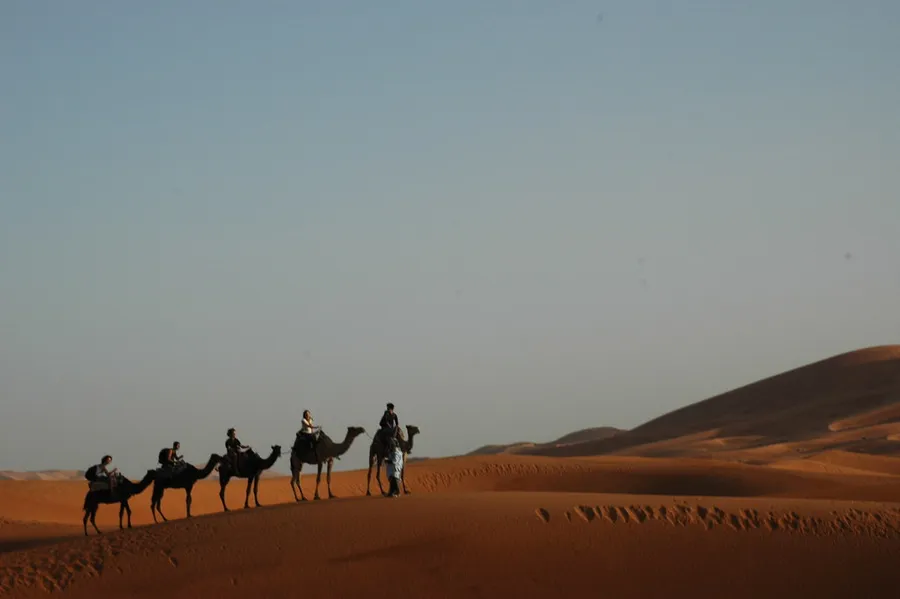 Camel Trekking