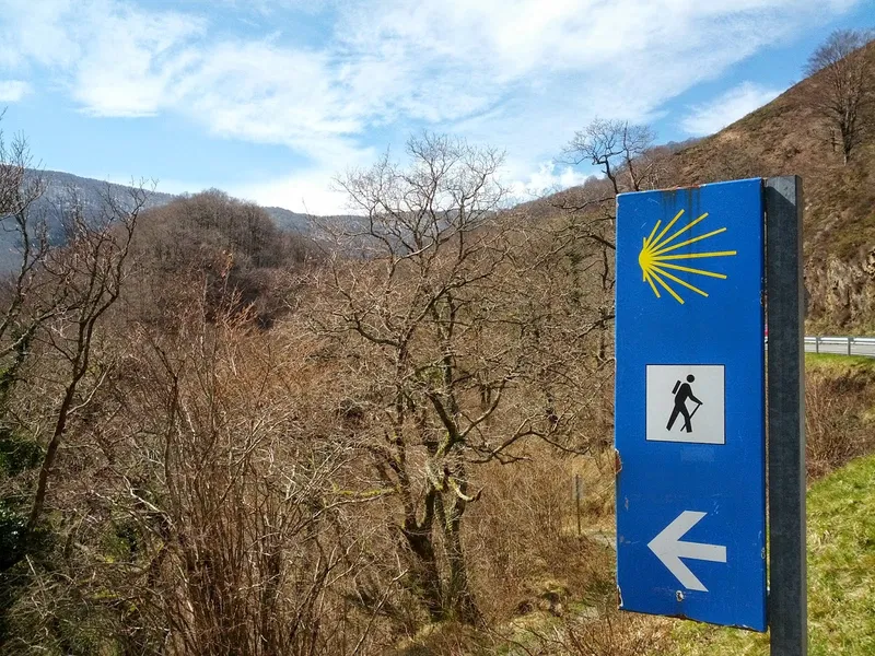 Camino de Santiago (French Route)