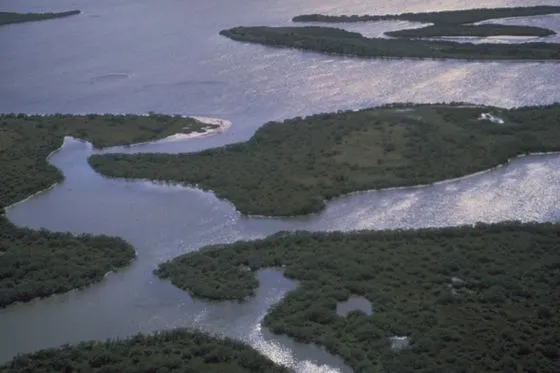 Canaveral National Seashore