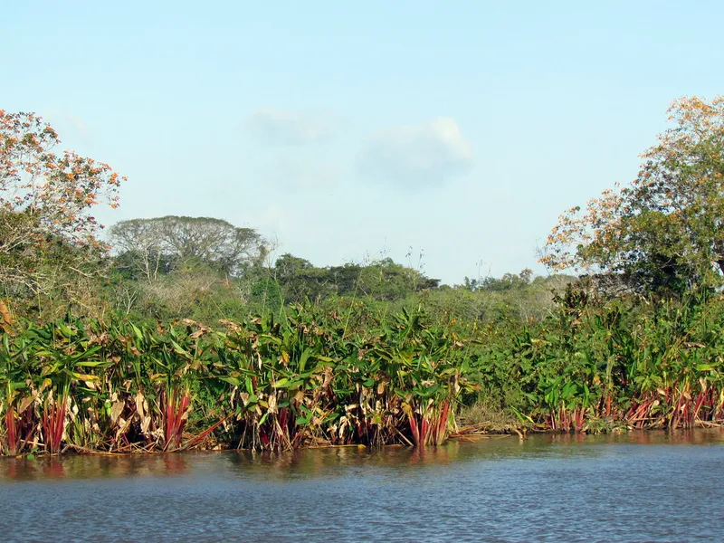 Cano Negro Wildlife Refuge