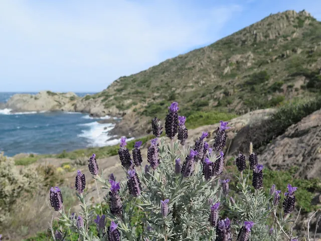 Cap de Creus Natural Park