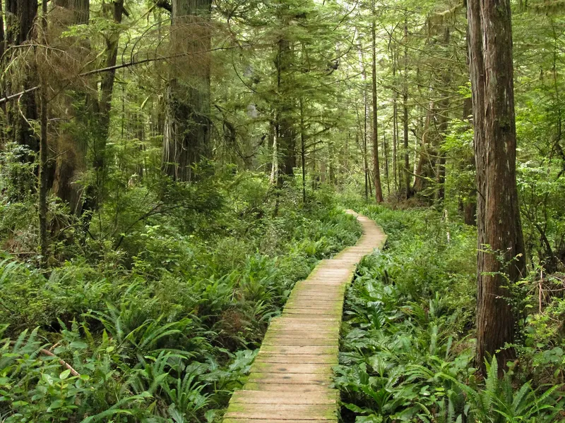 Cape Alava