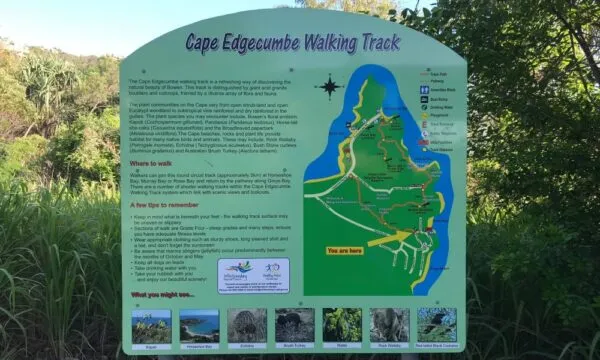 Cape Edgecumbe