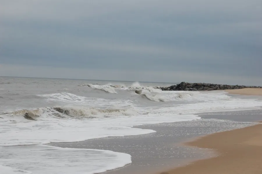 Cape Henlopen State Park