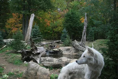 Cape May County Park & Zoo
