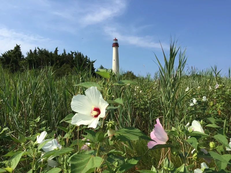 Cape May Lighthouse