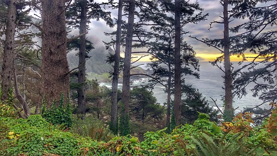 Cape Perpetua Scenic Area