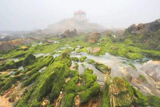 Capela de São Salvador do Mundo