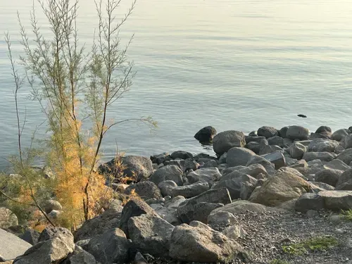 Capernaum National Park