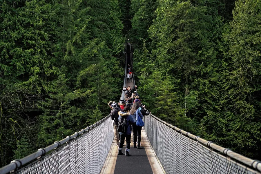 Capilano Suspension Bridge Park