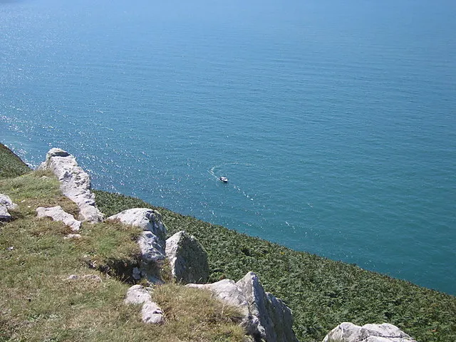 Cardigan Bay Marine Wildlife Centre