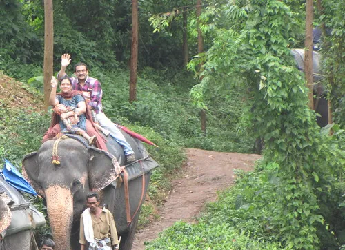 Carmelagiri Elephant Park