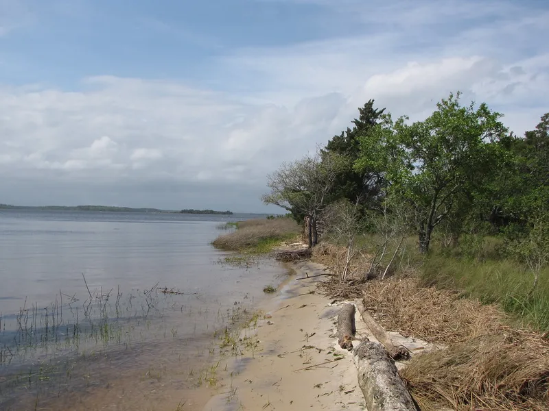 Carolina Beach State Park